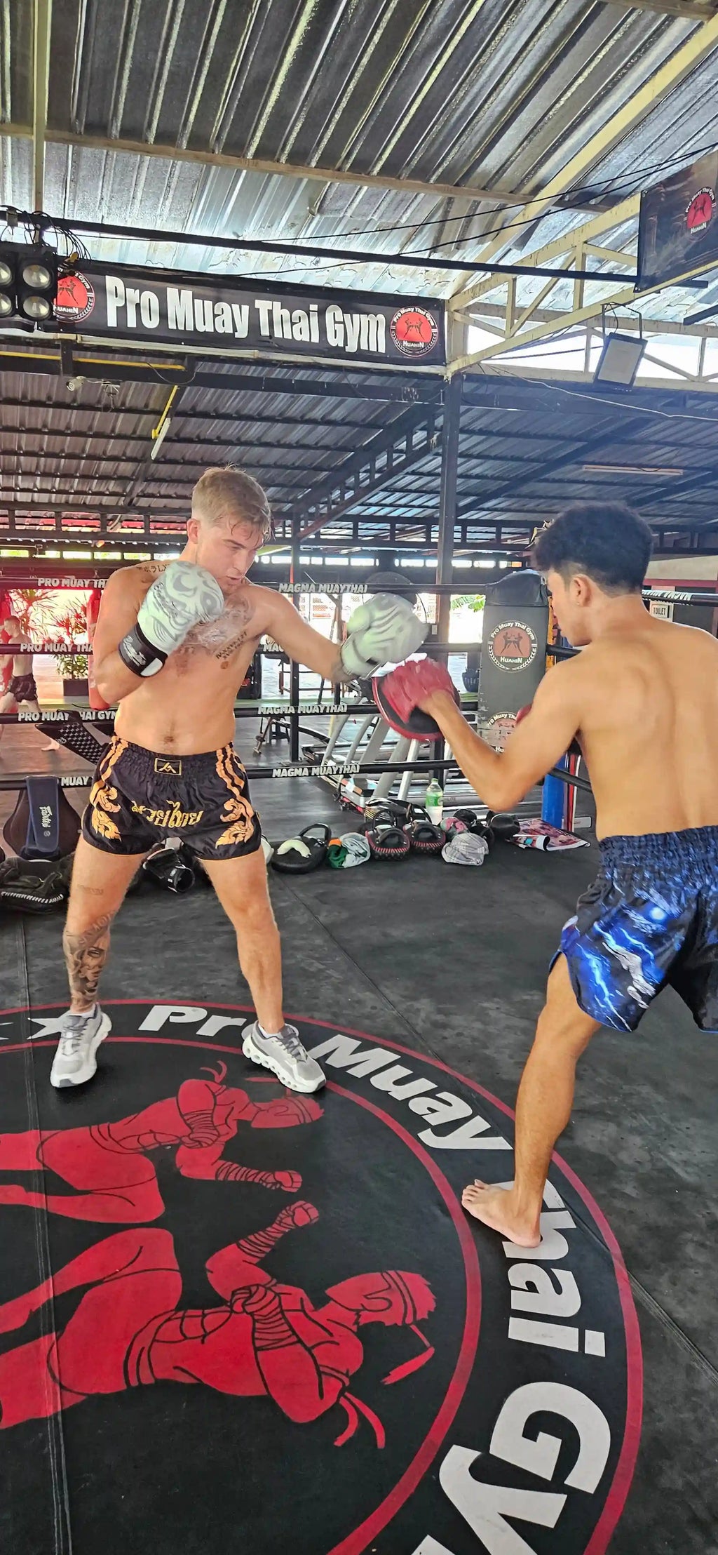 Black Gold Muay Thai shorts – fighter in dominant sparring stance – buy professional Muay Thai fight shorts Thailand
