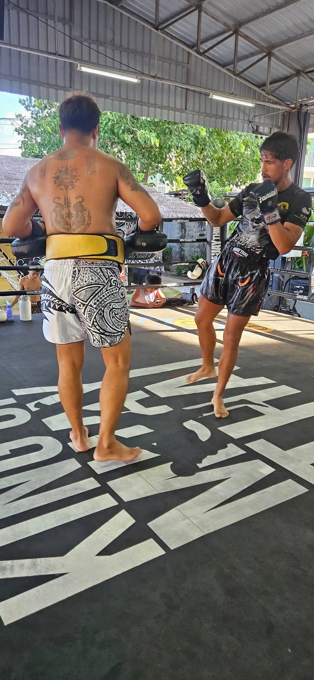 Maori Reign Muay Thai shorts – dominant ring-ready fighter in bold tribal design – buy elite Muay Thai fight wear Thailand
