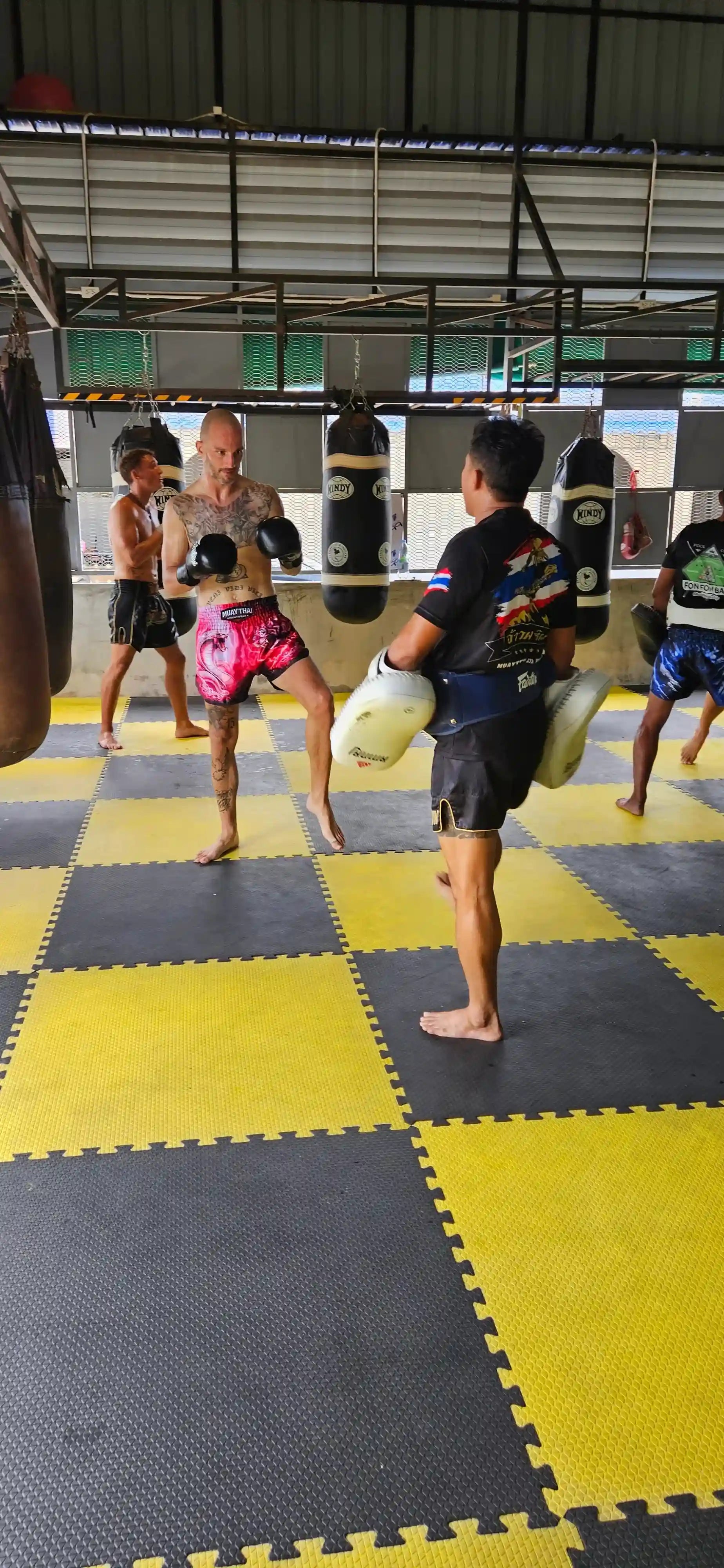 Snake Tiger Muay Thai shorts – fighter in aggressive gym training stance – shop premium animal print fight wear Thailand
